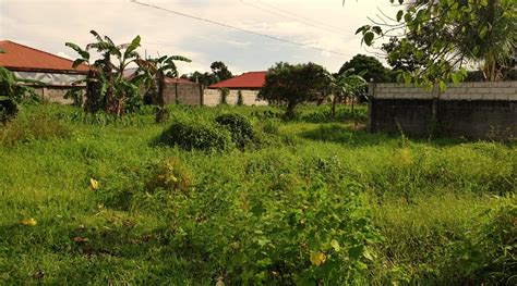 lot for sale in bacolod city|Residential Lot For Sale in Bacolod, Negros Occidental.
